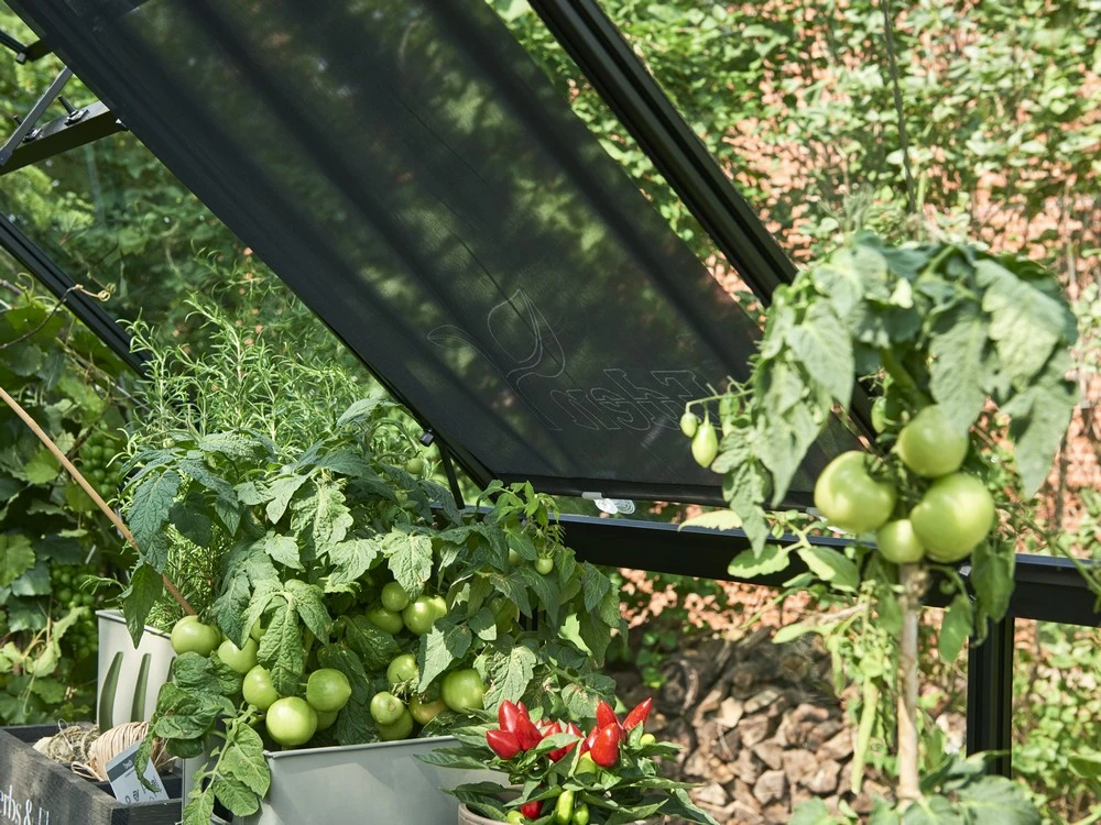 Royal Well Rolscherm 67,5 x 200 cm - Afbeelding 5